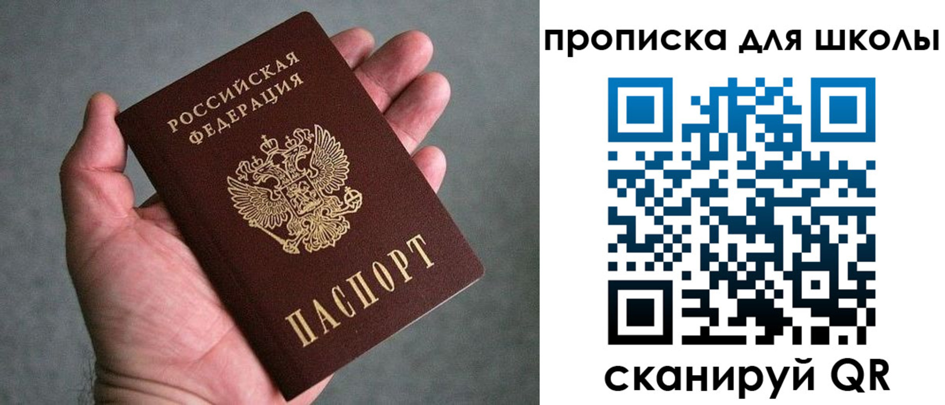 прописка для школы в Углегорске